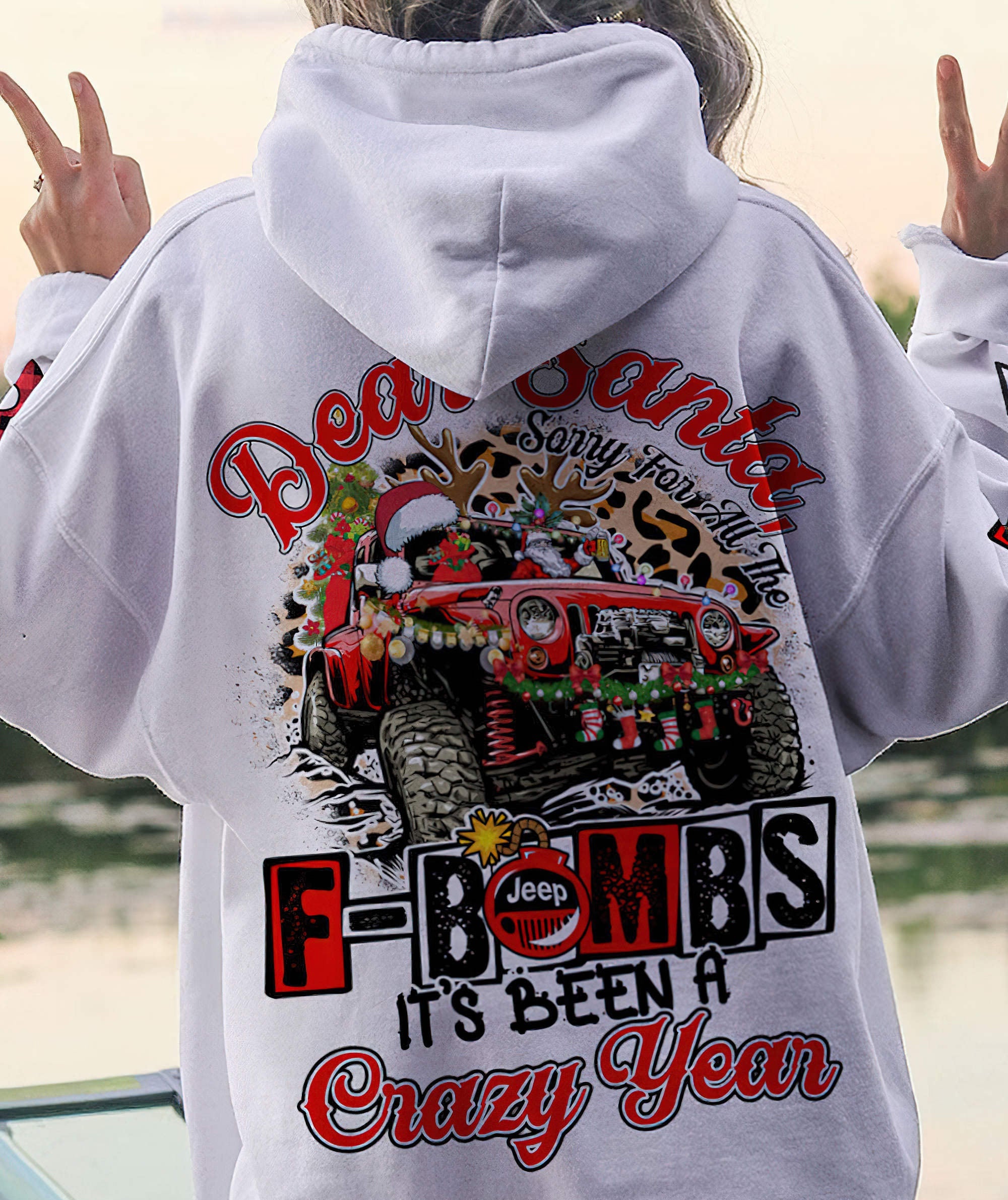 a-crazy-year-hoodie
